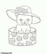 Coloring Cat Pages Cats Hat sketch template