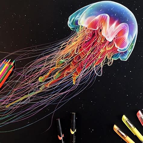 eclectic collection  realistic drawings jellyfish drawing black