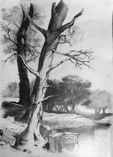 pencil  canvas landscape  pencil