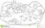 Pond Coloring Pages Ponds Drawing Printable Template Getcolorings Color Top Contents Getdrawings Copyright 1300 52kb sketch template