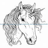 Unicorn Engraving Vector Dxf Cdr Laser Machines Print  Kd Ameehouse Gmail Mail sketch template