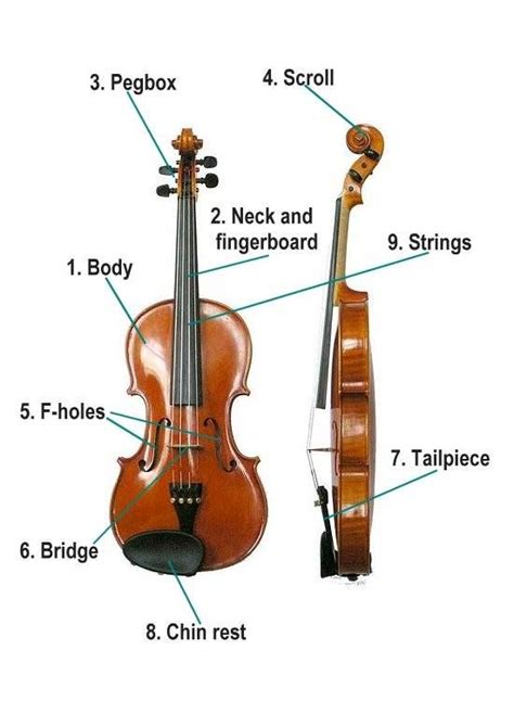 parts   violin images  pinterest violin musical instruments  cello