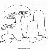 Fungi Getdrawings Picsburg Botanical Homeschooldressage sketch template