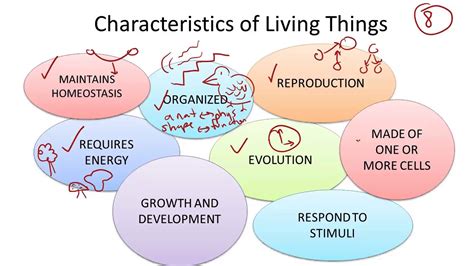 characteristics  living   characteristics  living