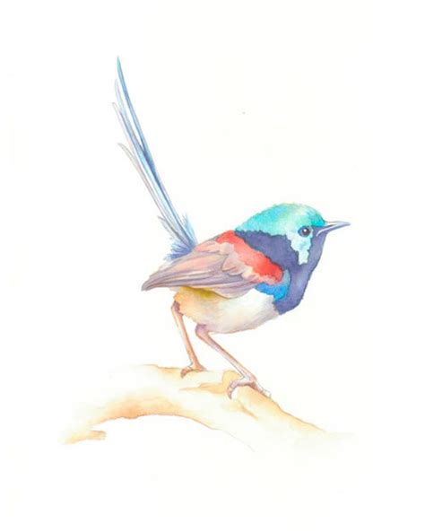 Bird Bird Painting Minimalist Watercolor Original