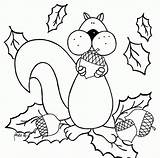 Squirrel Autumn sketch template