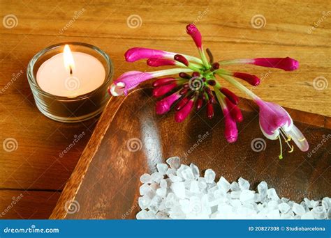 spa aromatherapy stock photo image  leaves composition