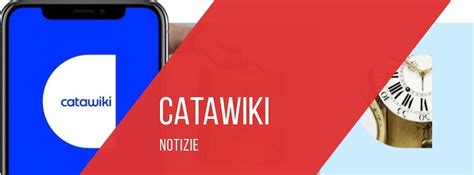 catawiki annuncia  investimento   milioni  euro