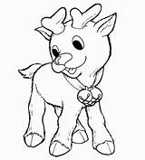 Reindeer Reno Rodolfo Pintar Craciun Deer Mos Rudolph Renifer Renos Kolorowanki Reni Biche Colorat 1158 Fise Planse Coneja Renne Reindeers sketch template