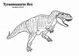Rex Coloring Tyrannosaurus Color sketch template