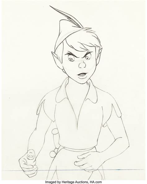 peter pan animation drawing walt disney  animation art lot  heritage auctions