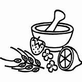 Mortar Pestle Coloring Pages Surfnetkids Healthy Food Credit Larger Next sketch template