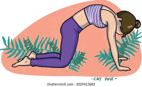 female yoga poses illustration cat pose stock vector royalty