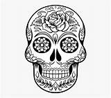 Skull Calavera Mandala Para Colorear Clipartkey sketch template