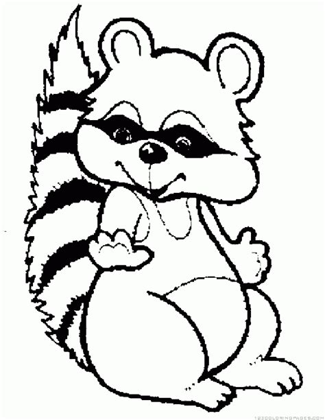 raccoon coloring pages clipartsco