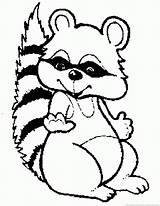Raccoon Coloring Face Pages Clipart Template Cartoon Clip Library sketch template