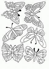 Schmetterling Vlinder Papillons Malvorlagen Kleurplaten Mariposas Kleurplaat Farfalle Tyson Malvorlagen1001 Borboletas Ninos Tsgos Gratuit Pergamano Bordar Paginas Vlinders Verob Animaatjes sketch template