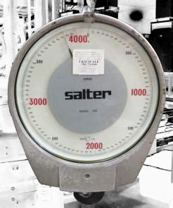 salter   pound crane scale