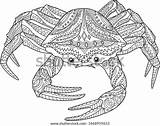 Antistress Crab Oceanic sketch template