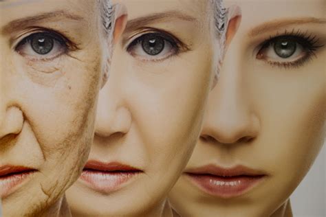 scientists have discovered an effective antioxidant to slow down aging