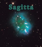 Afbeeldingsresultaten voor "sagitta Tropica". Grootte: 164 x 185. Bron: www.theworldaloha.com