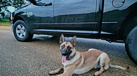 Flora Pds K9 Gets Body Armor Donation