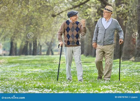 cheerful elderly men walking   park stock photo image