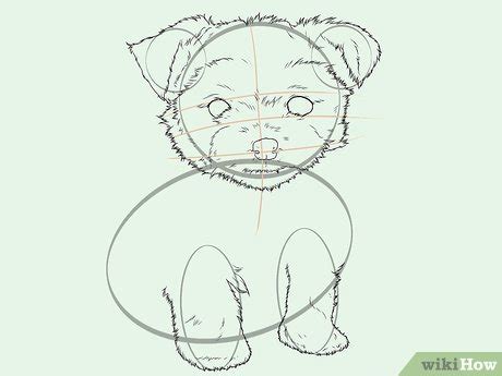 draw  yorkie  pictures wikihow