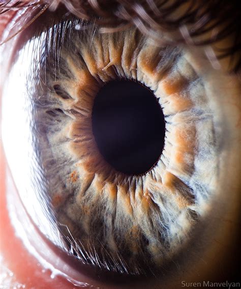 Amazingly Revealing Macro Photos Of The Human Eye