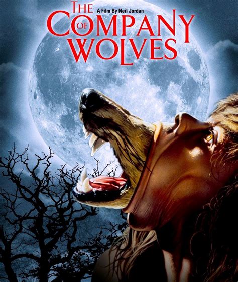 company  wolves blu ray wolf poster wolf    posters