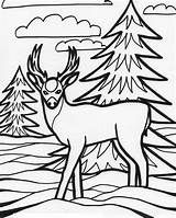 Coloring Deer Pages Printable Animal Sheets Medium Color Grayscale Animals Print Colouring Cute Antler Mackenzie Bestofcoloring Sheet Zebra Wild Printables sketch template