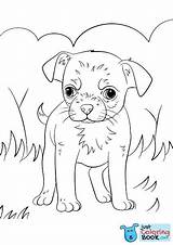 Chihuahua Cani Cachorro Perros Worksheets Simpatici Beverly Teacup Supercoloring Divertenti Kolorowanka Cachorros ぬりえ sketch template