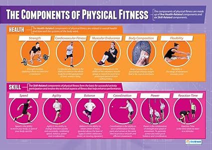 physical fitness standard   accurately   fitnessretro
