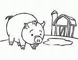 Porcos Pintar sketch template