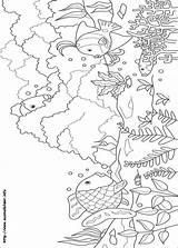 Zee Mooiste Colorat Iris Regenbogenfisch Coloriage Rainbow Pestisori Pintar Animale Ciel Ausmalbilder Curcubeu Planse Peixinho Arcobaleno Peixe Onderwaterwereld Cielo P05 sketch template