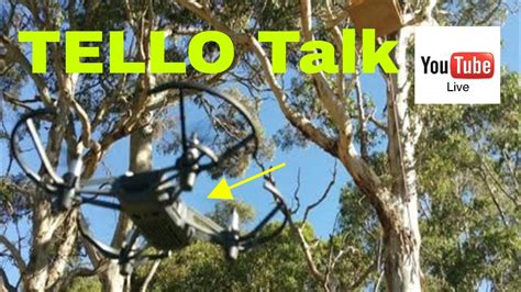 dji  tello drone  birds saturday  youtube