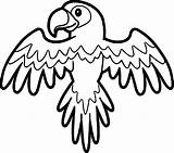 Coloring Parrot Wecoloringpage Pages Animal sketch template