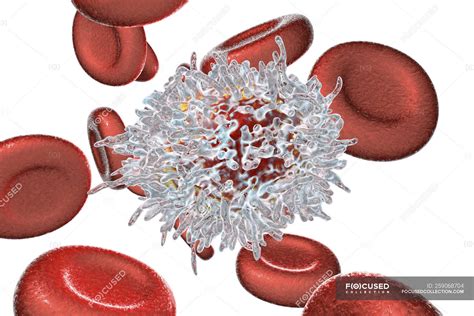 digital illustration  abnormal white blood cells  lymphocytes