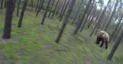 lets pretend  bear chases man  gopro video isnt fake huffpost uk tech