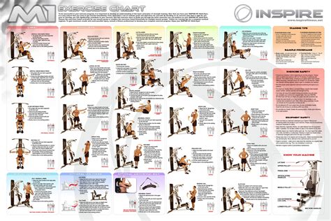 home gym exercise chart  workout chart gym workout chart home