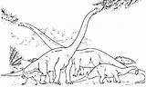 Colony Brachiosaurus Index 197k sketch template