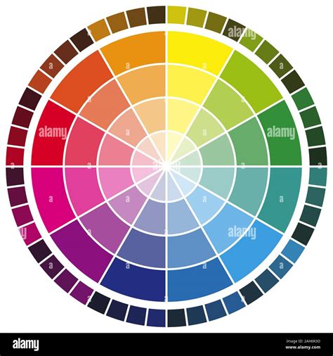 vector illustration  printing color wheel  twelve colors