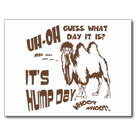 Hump Day Wednesday Quotes Funny Quotesgram