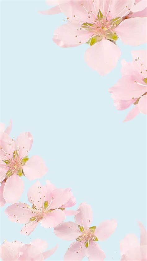 mint tumblr with images floral wallpaper iphone