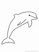 Delfin Ausmalbilder Ausmalen Delphin Malvorlage Delfine Malvorlagen Fische Kinder Tiere Bildern Zeichnen Kinderbilder Pferd sketch template