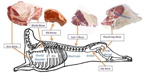 beef carcass parts