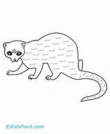 Coloring Pages Lemming Weasel Animals Color Kids sketch template