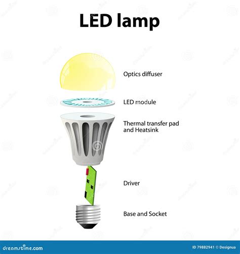 basic components  led lighta bulbs stock vector illustration