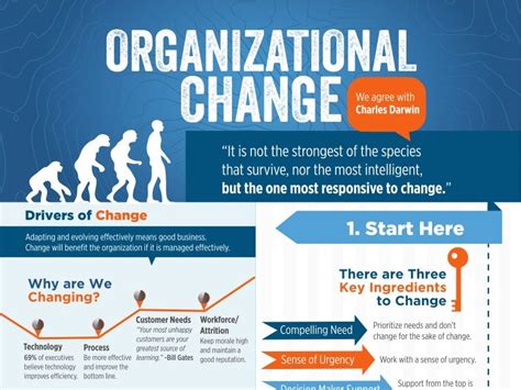 organizational change inforgraphic
