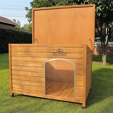 heated dog houses reviewed   earlyexperts